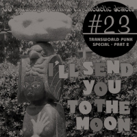 23 I\'ll Send You To The Moon